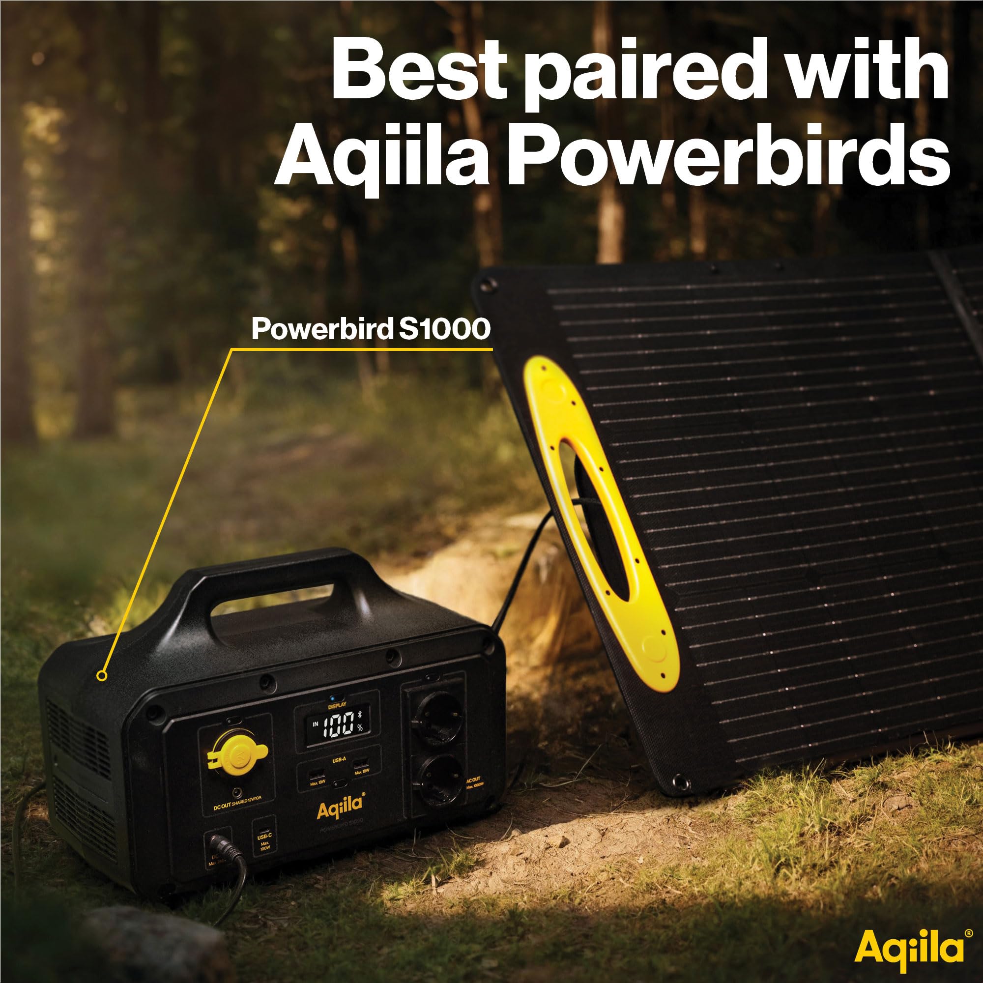 Pannello Solare Pieghevole 200W - Sunbird P200 - Altamente efficiente con cavalletto Regolabile per Una Ricarica Rapida e Versatile