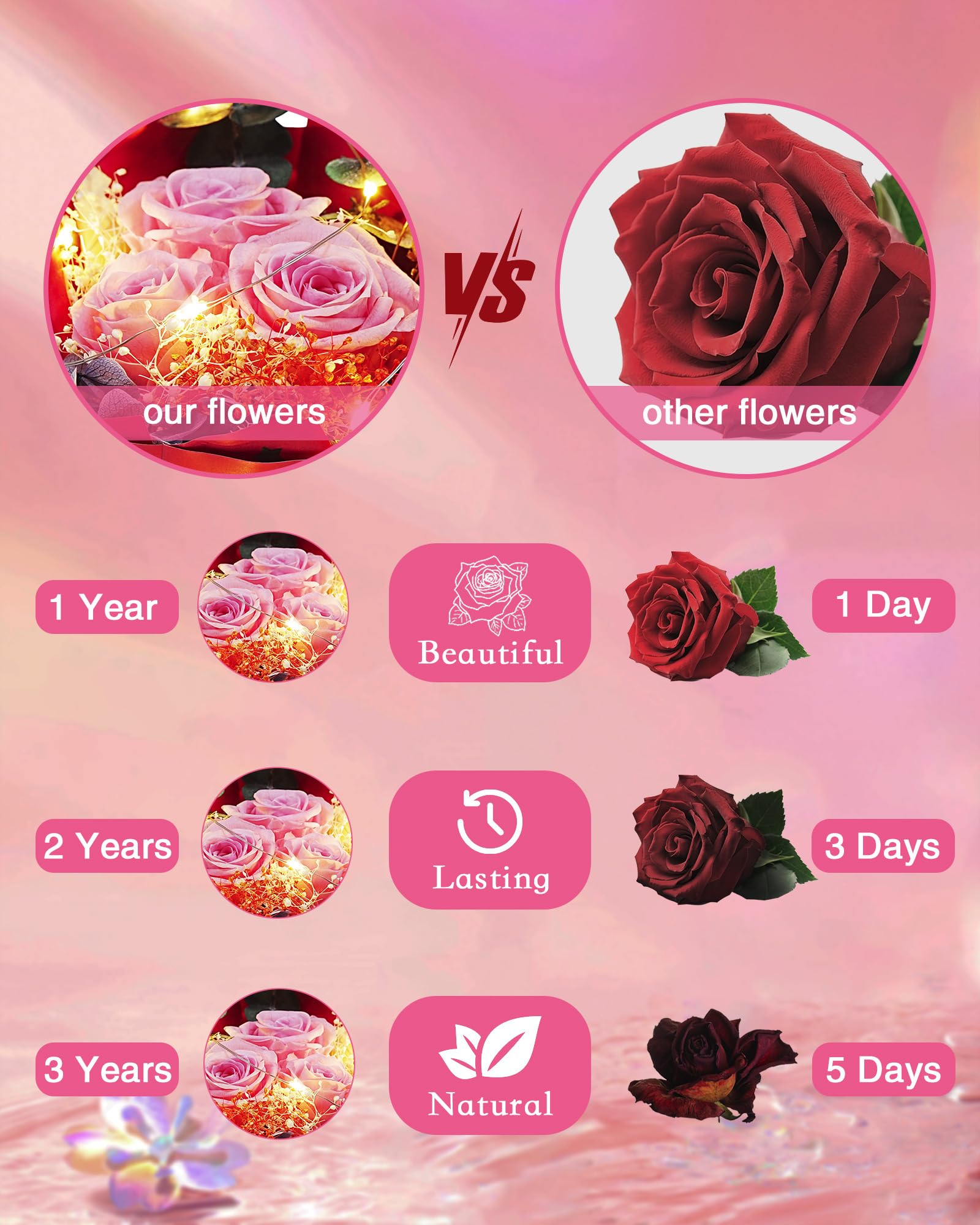 HVY Fleurs préservées en verre pour elle, bouquet de roses véritables roses avec lumière LED, rose éternelle pour femme, épouse, maman, grand-mère comme anniversaire, Noël, Saint-Valentin, fête des