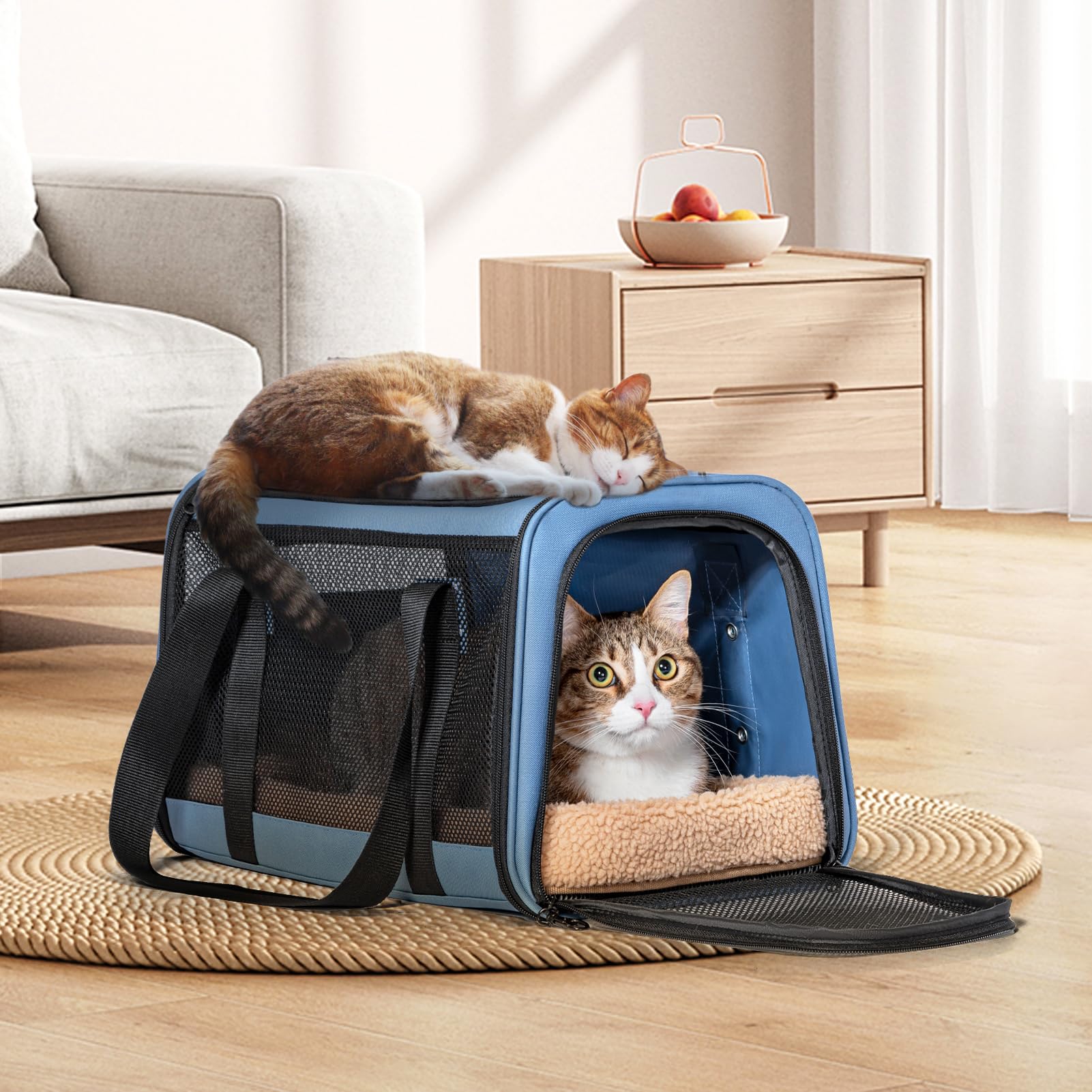 Petsfit Transportbox Katze Hundebox Auto Katzentransportbox Transportbox Hund - Faltbare Tragetasche mit 2 Patent-Schnallen für Autositz, 4-seitigem Netz & Abnehmbarem Kissen, M/Blau
