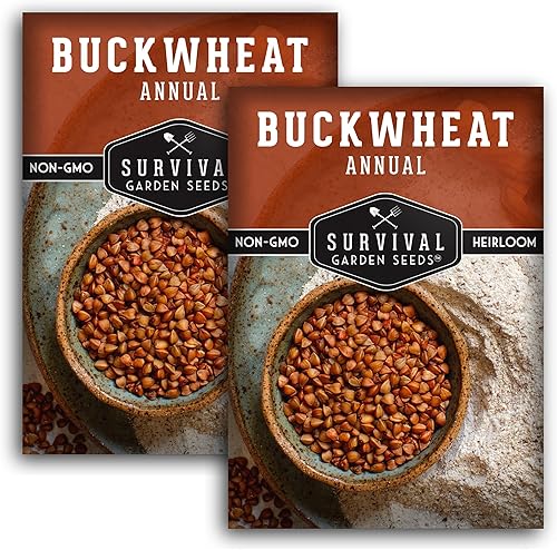 Semilla de trigo sarraceno para plantar, 2 paquetes con instrucciones para plantar y cultivar un cultivo de cobertura y plantas de trigo sarraceno