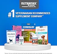 Vista 9 de Nutramax Laboratories Cosequin Plus MSM & Boswellia - Masticables suaves de tamaño mini