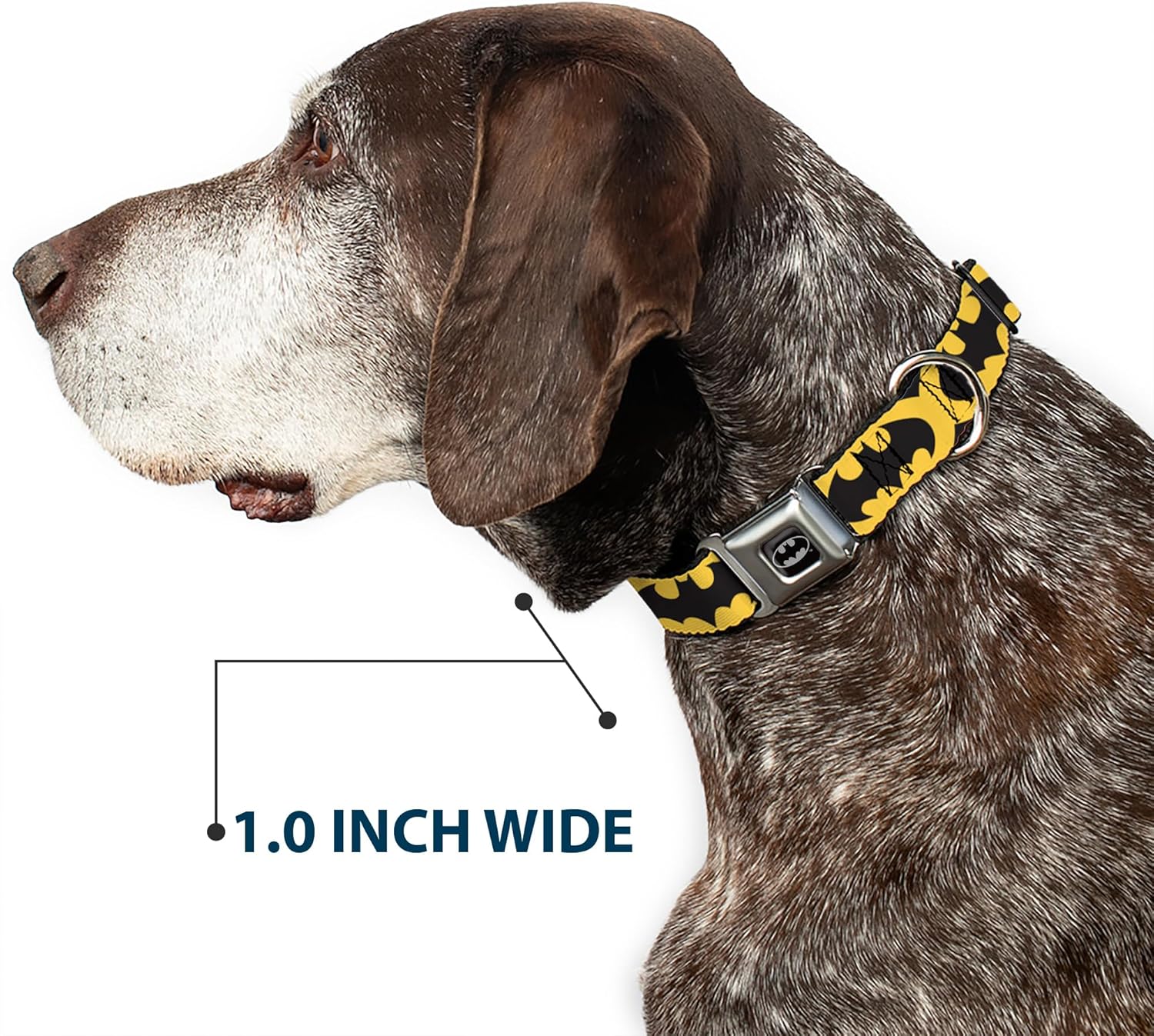 Buckle-Down DC-WBM002-L BMA Batman Black/Silver Dog Collar