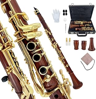 Bb Clarinet Rosewood Body Gold Keys Clarinets for Beginners Full Starter Set with Hard Case and Care Kits for Easy Learning & Clear Tone(r1)
