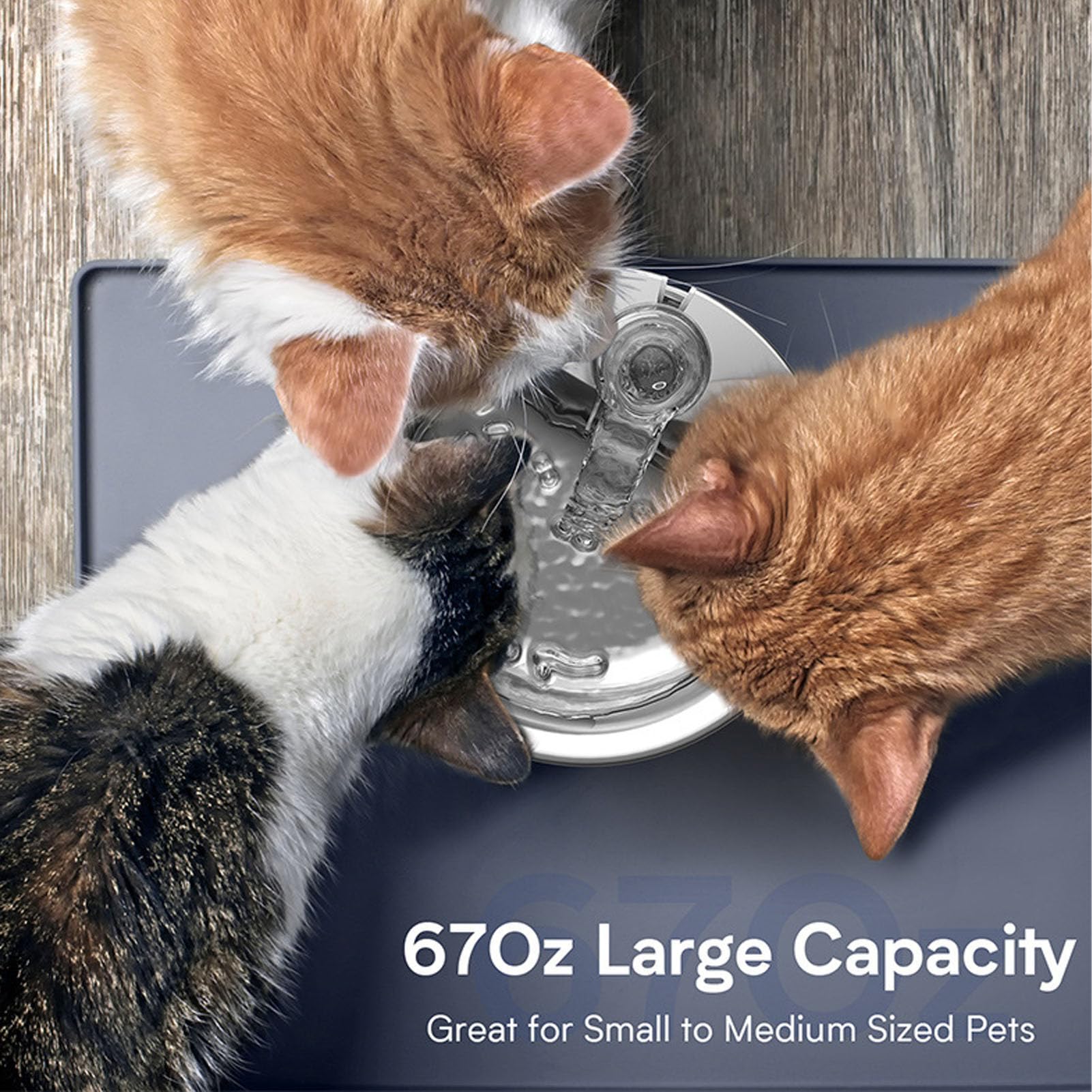 Haofy Cat Water Fountain Stainless Steel 2L Automatic Pet Water Dispenser with Triple Filtration Quiet Pump Low Alert US Plug for Cats Dogs Multiple Pets (1) - image 7