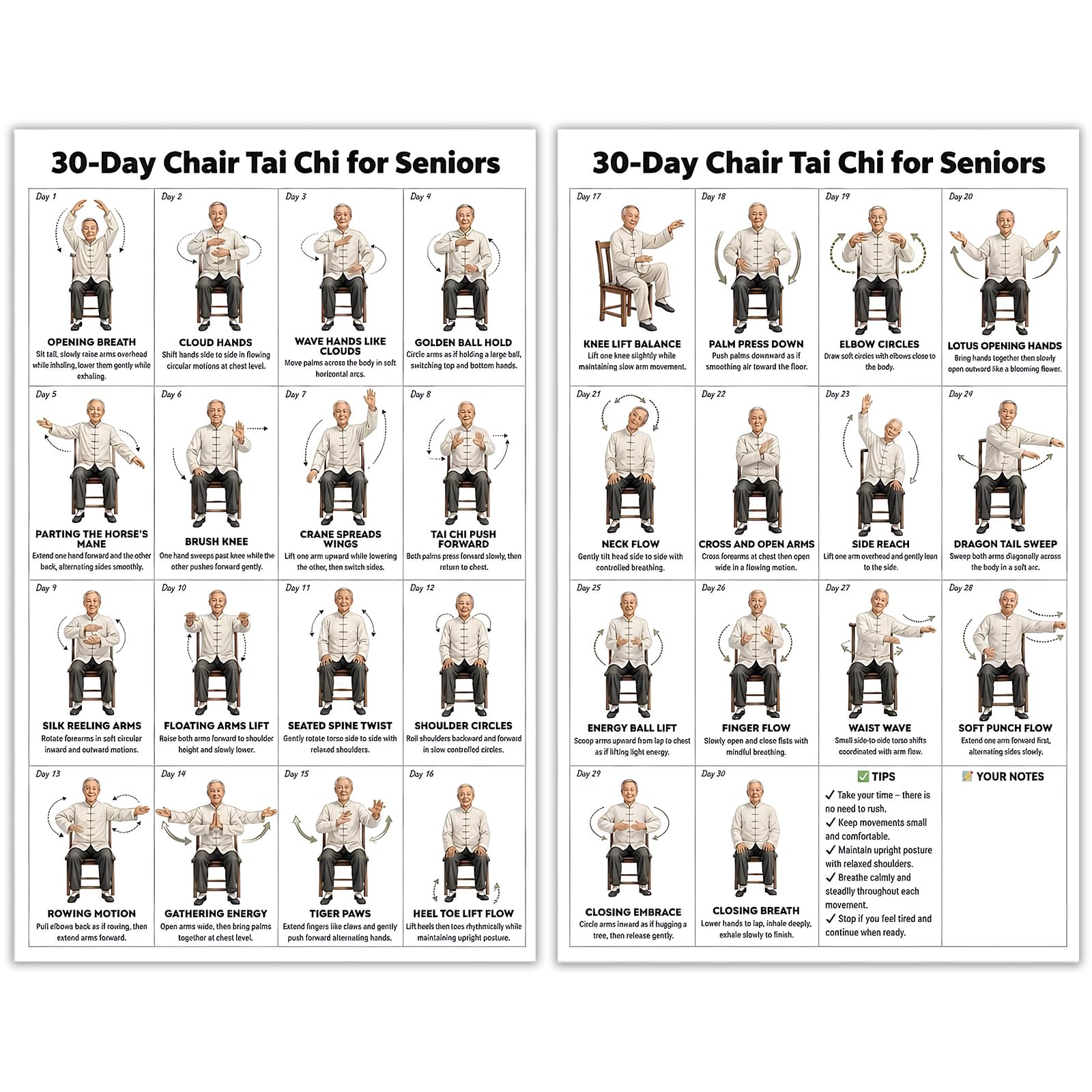 Spoworovi Tai Chi For Seniors Wall Chart,Tai Chi for Seniors & Beginners,Elegant Seated Exercises Canvas Wall Art for Home & Group Classes