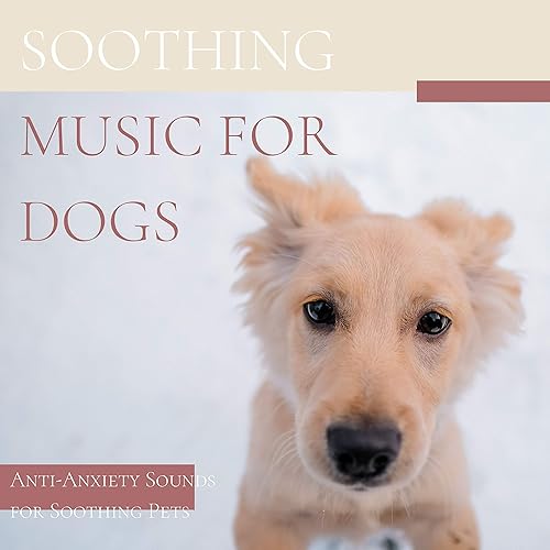 anti anxiety music dogs
