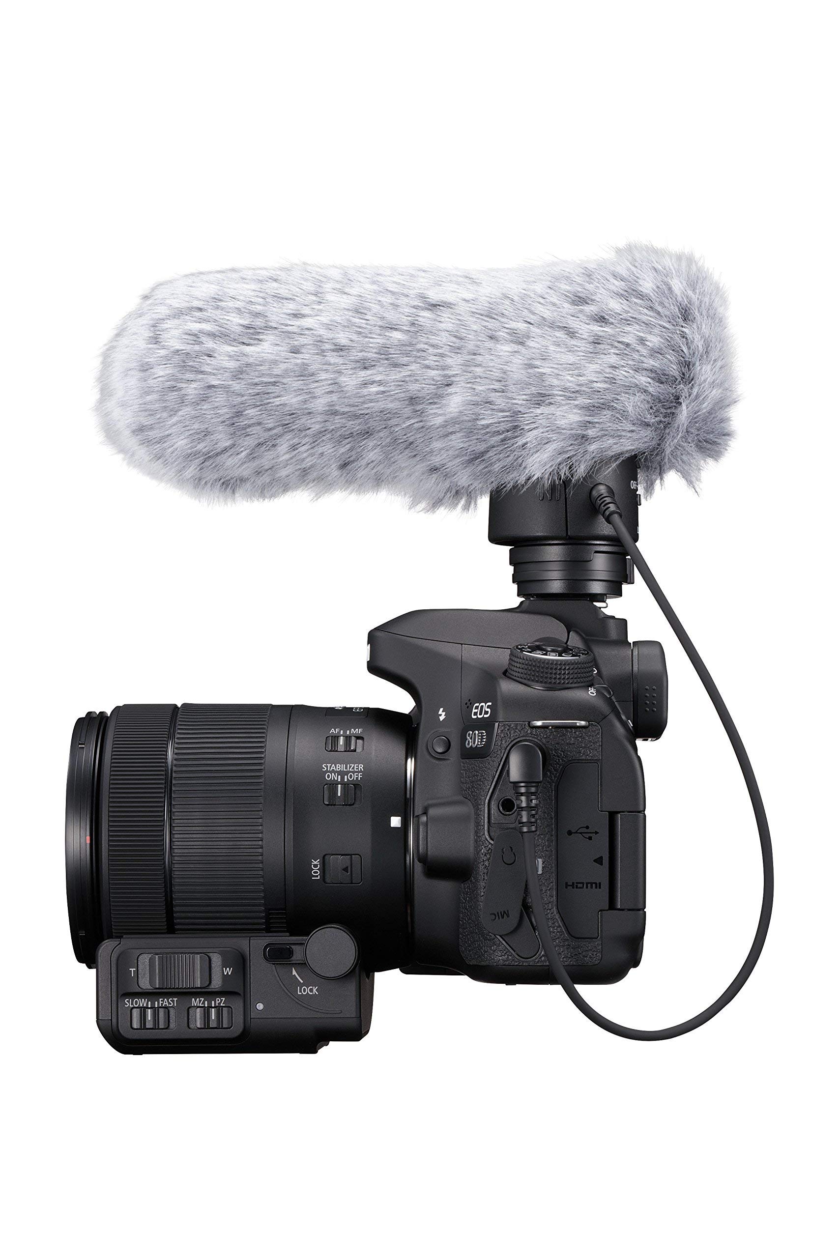Amazon.co.jp: Canon 指向性マイク DM-E1 (ブラック) : CANON
