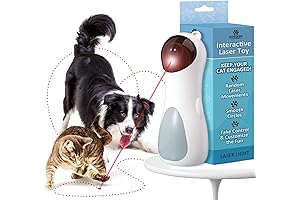 Automatic Whisker Fun Toy for Your Feline Friend