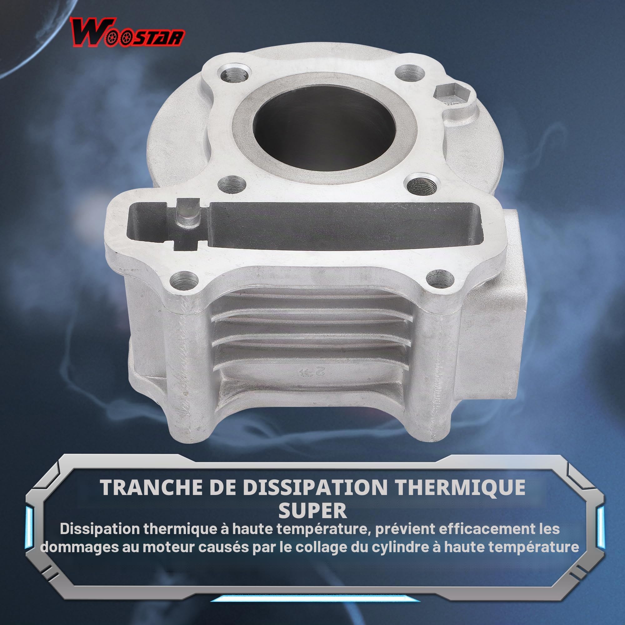 WOOSTAR 39mm Cylindre avec Kit de Segments de Piston Remplacement pour 4 Temps GY6 49cc 50cc 139QMA 139QMB Moteur ATV Quad Scooter Cyclomoteur