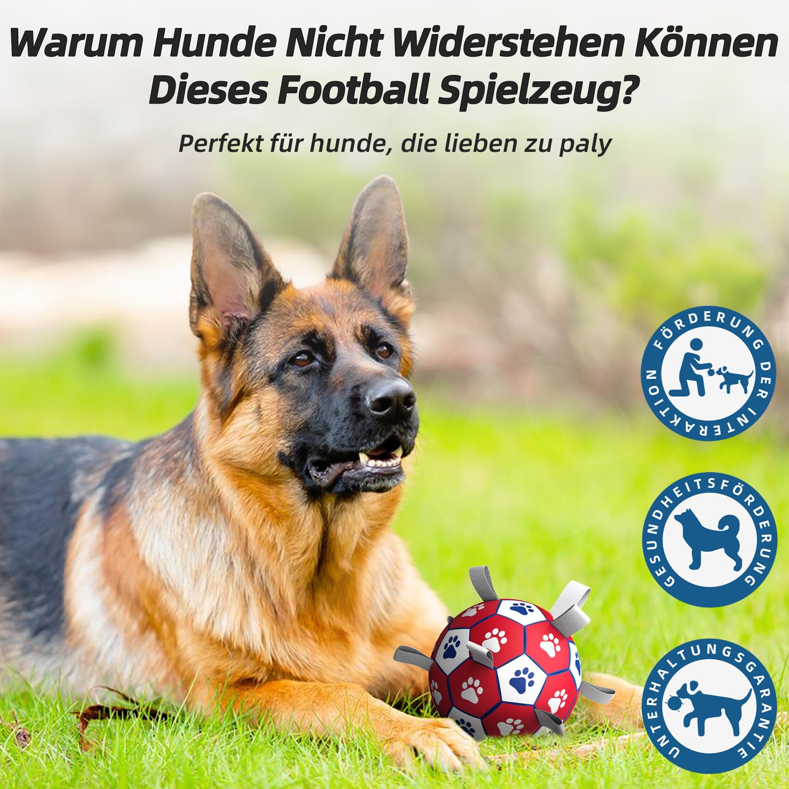 HETOO Hondenbal, hondenspeelgoed, bal met handvat voor hond HETOO Hondenbal, hondenspeelgoed, bal met handvat voor hond