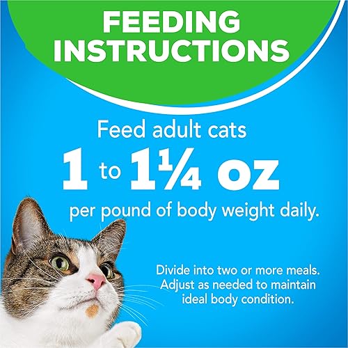 Miniatura 10 de Friskies Purina - Paquete variado de alimentos húmedos para gatos de interiores, YUMbelievaBOX YUM-stoppable Indoor Adventures - (40) 5.5 onzas