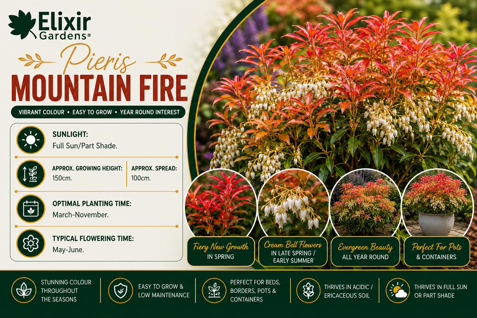 View 4