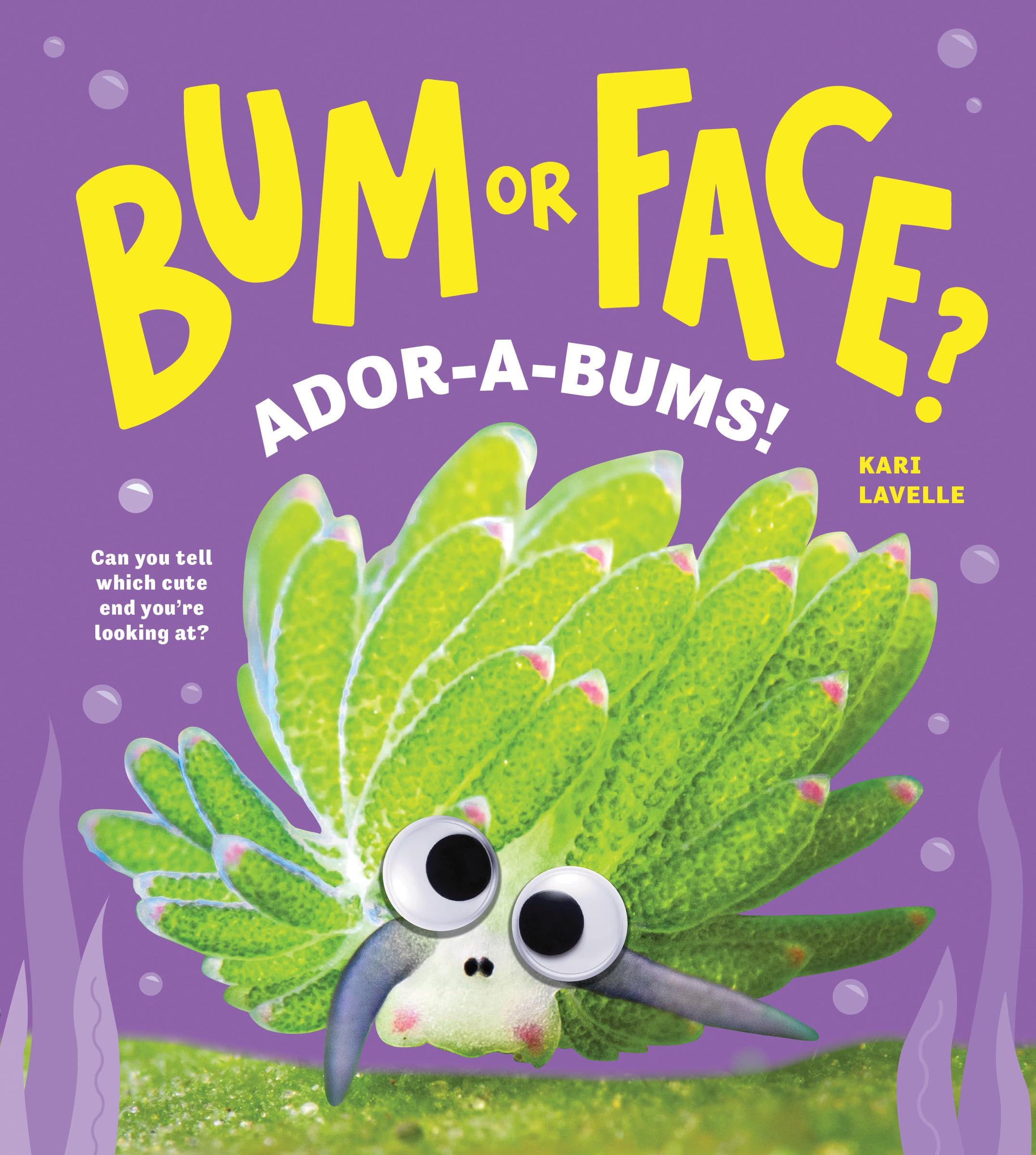 Bum or Face? Ador-a-Bums!: Another Hilarious Animal Guessing Game Book for Kids! (Bum or Face Book 4)