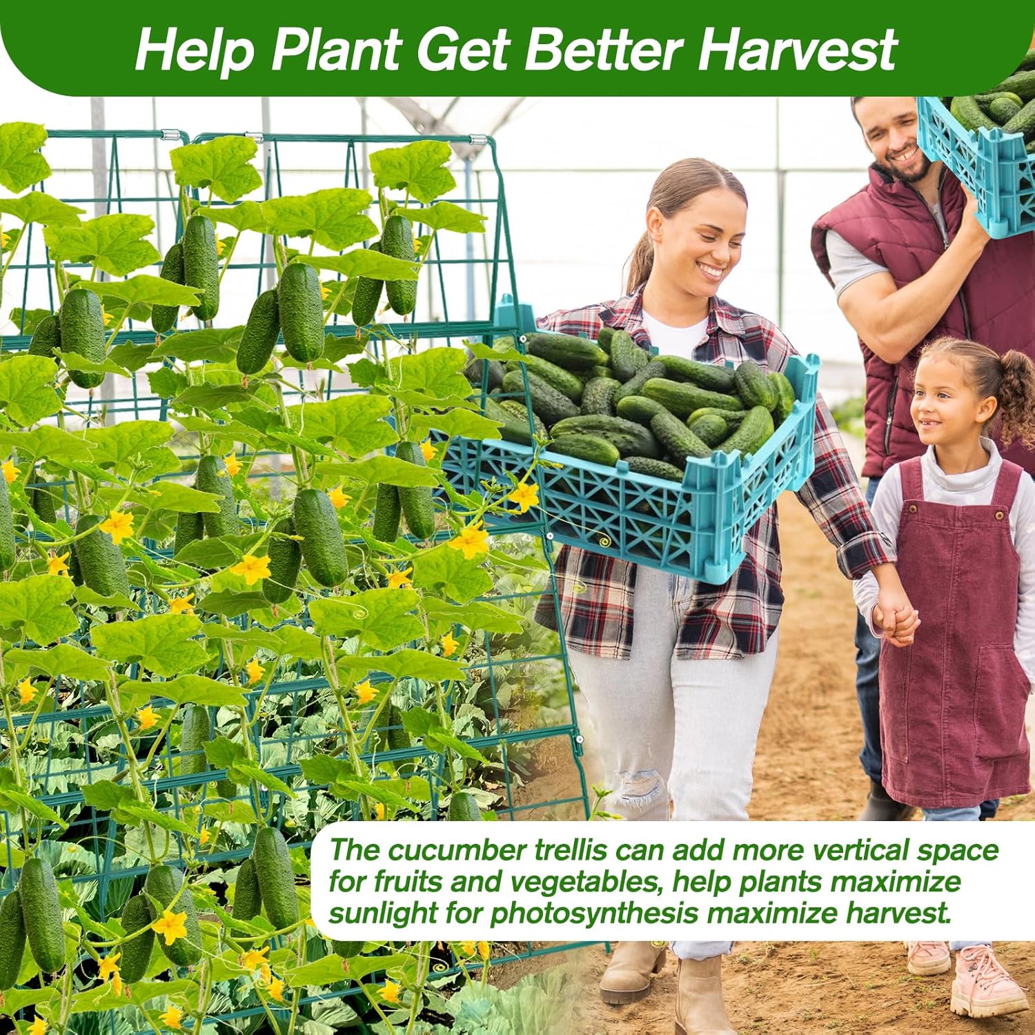 Cucumber Trellis for Raised Bed A Frame Metal Garden Trellis for Climbing Plants Outdoor, 42 x 16IN Foldable Coated Steel Cucumbers Trelli, Easy to Install Cucumber Trellis for Vegetable Fruit (1PACK)