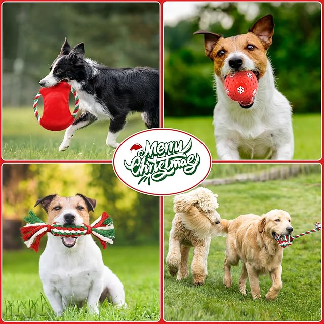 Foto 5 de 7 de Kapetgo Paquete de 10 juguetes de Navidad para perros pequeños, juguetes de bola de Navidad para cachorros