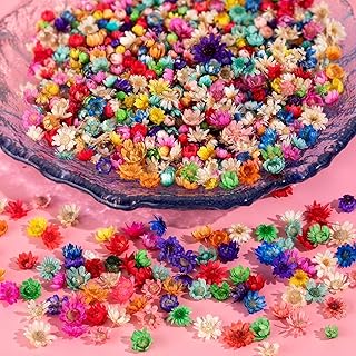 650 PCS Dried Flowers for Resin Crafts, Small Dried Flowers for Nails, Real Natural Tiny Dried Pressed Flowers for Jewelry Earrings Epoxy Molds, Candles Making, Soap Making
