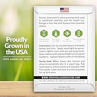 Vista 2 de Semilla de manzanilla romana para plantar, paquete con instrucciones para plantar y cultivar hierbas medicinales calmantes en tu huerto casero