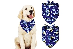 Adorable Dog Hanukkah Pajamas