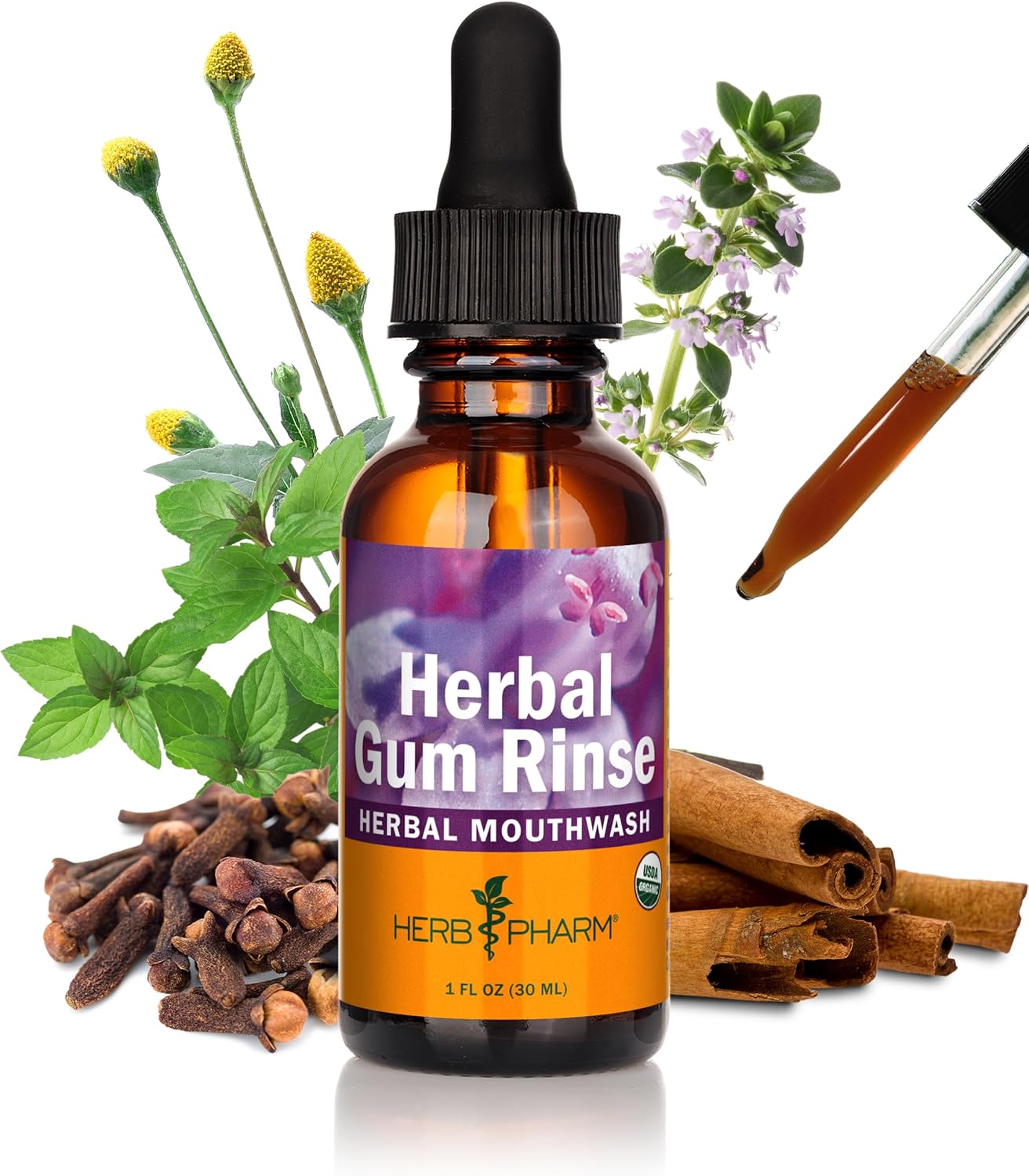 Herb Pharm Gum Guardian Herbal Mouthwash for Healthy Mouth and Gums - 4 Ounce
