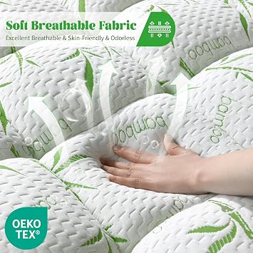 3 Inch Mattress Topper - Viscose Made from Bambu | ,Cooling Soft Pillow Top Mattress Pad Cover for Back Pain,Mattress Protector with 8-21 Inch Deep Pocket (Queen,60x80)
