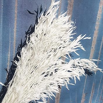 40 Stems Dried White Oat Flowers, 17 Real Natural Bleached Avena Flowers Wheat Bunch for Wedding Decoration, Flora Boho Decor, DIY Home Arrangement