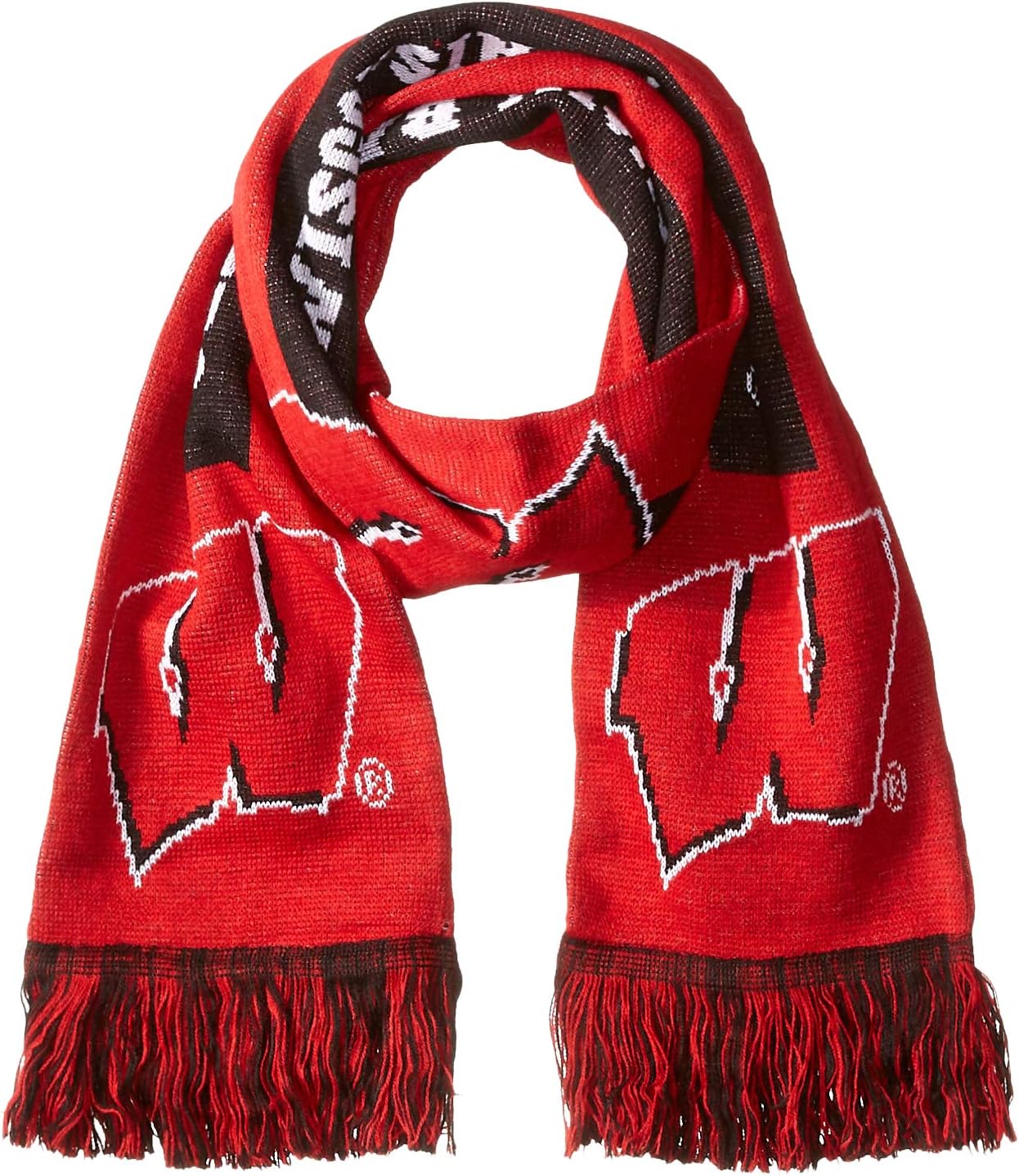 FOCO NCAA unisex College 2016 Big Logo Scarf