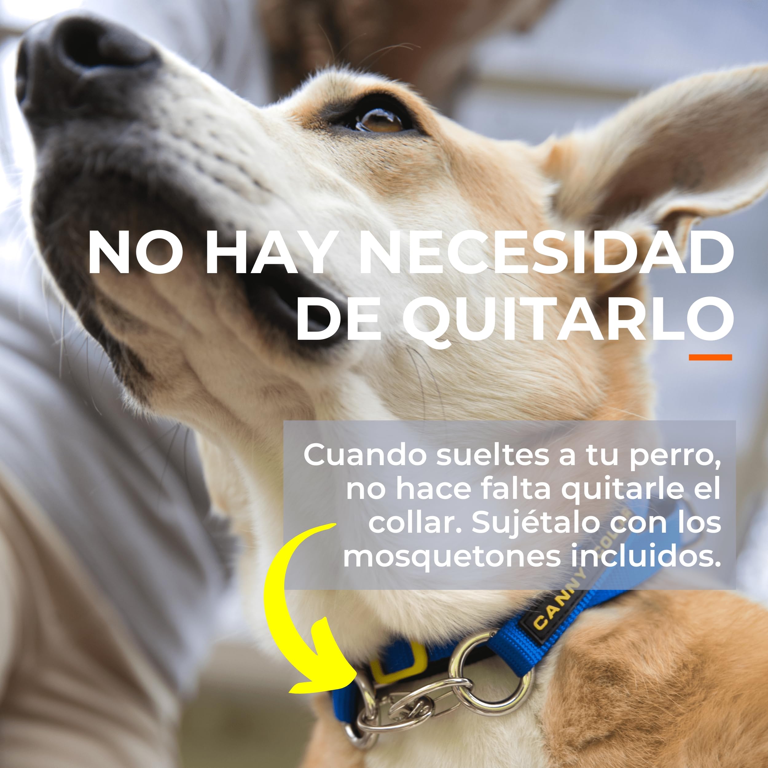 Canny Collar – Collar Antitirones de Cabeza para Perros Que Tiran | Arnés de Entrenamiento Suave y Seguro | Paseos Tranquilos sin Tirones – Azul, Talla 5
