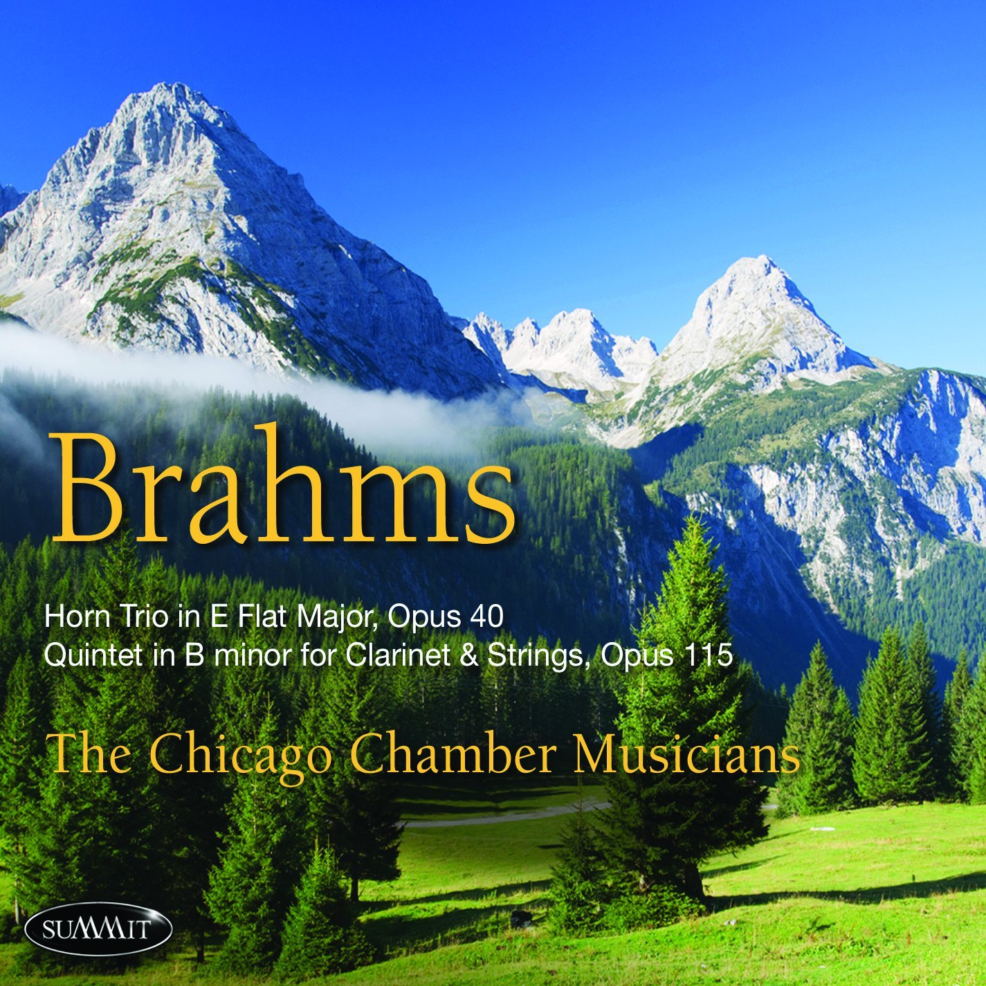 Brahms [Audio CD] CHICAGO CHAMBER MUSICIANS