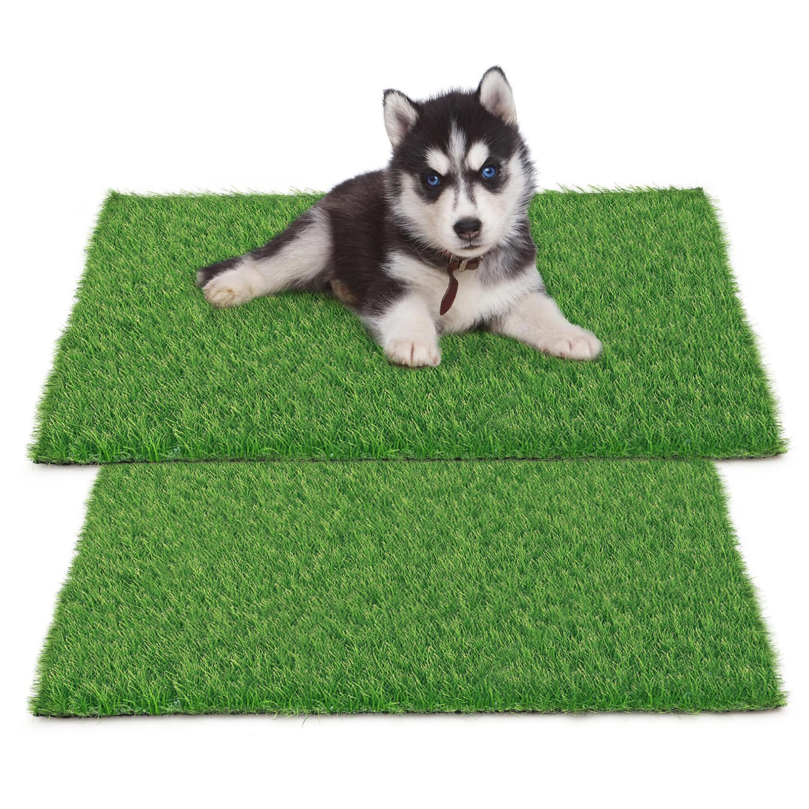 Photo 1 of STARROAD-TIM 30 x 20 inches 2 Pack Fake Grass Pee for Dogs Artificial Grass Rug Pad for Puppy Potty Washable Grass Mat for Pet Training with Drainage Hole