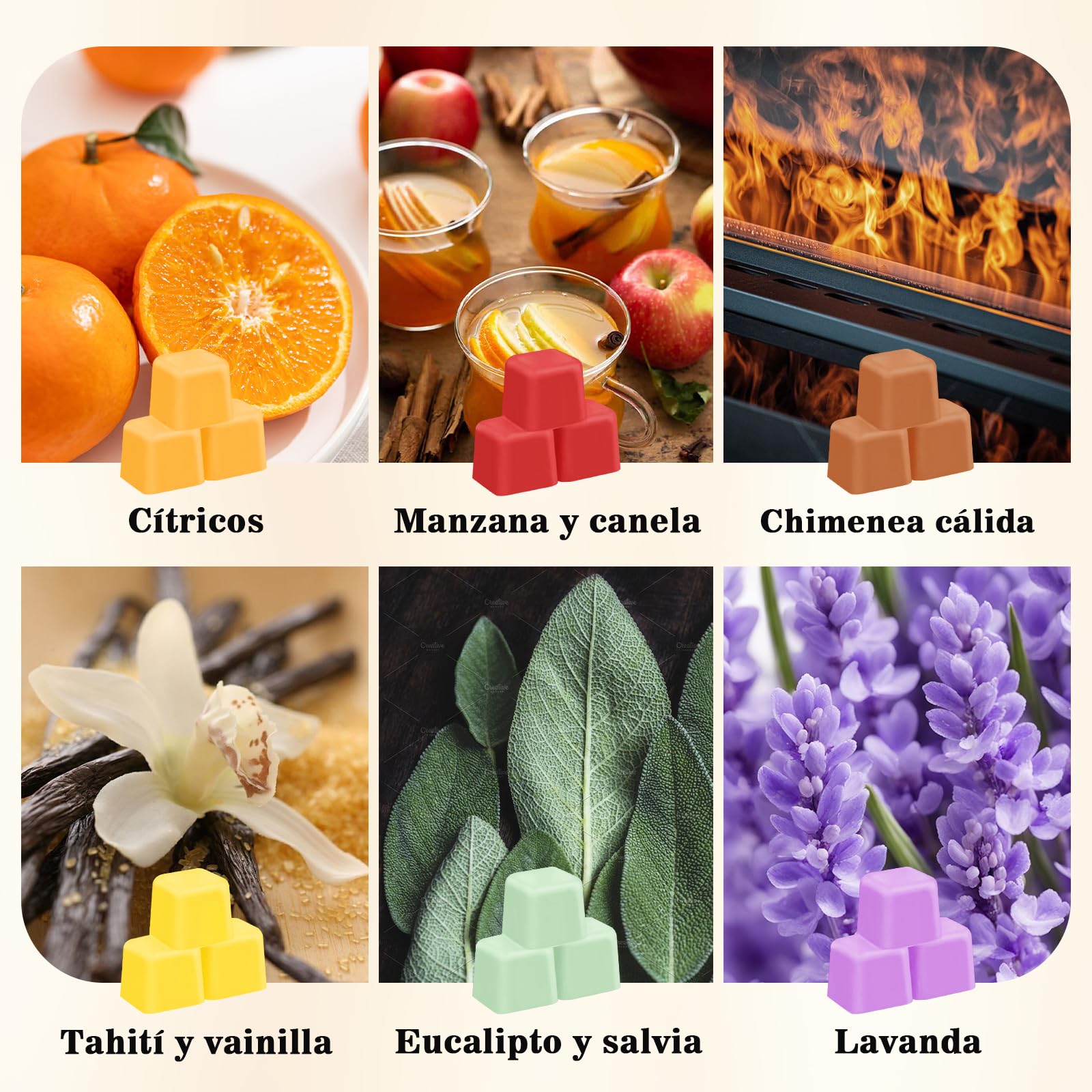 SCENTORINI Set de Cera Perfumada, Cubos de Cera Perfumada para el Hogar, 12 Fragancias, Bloques de 35 g de Cera de Soja Natural con Aceites Esenciales, Regalo Ideal para Hogar y Quemadores