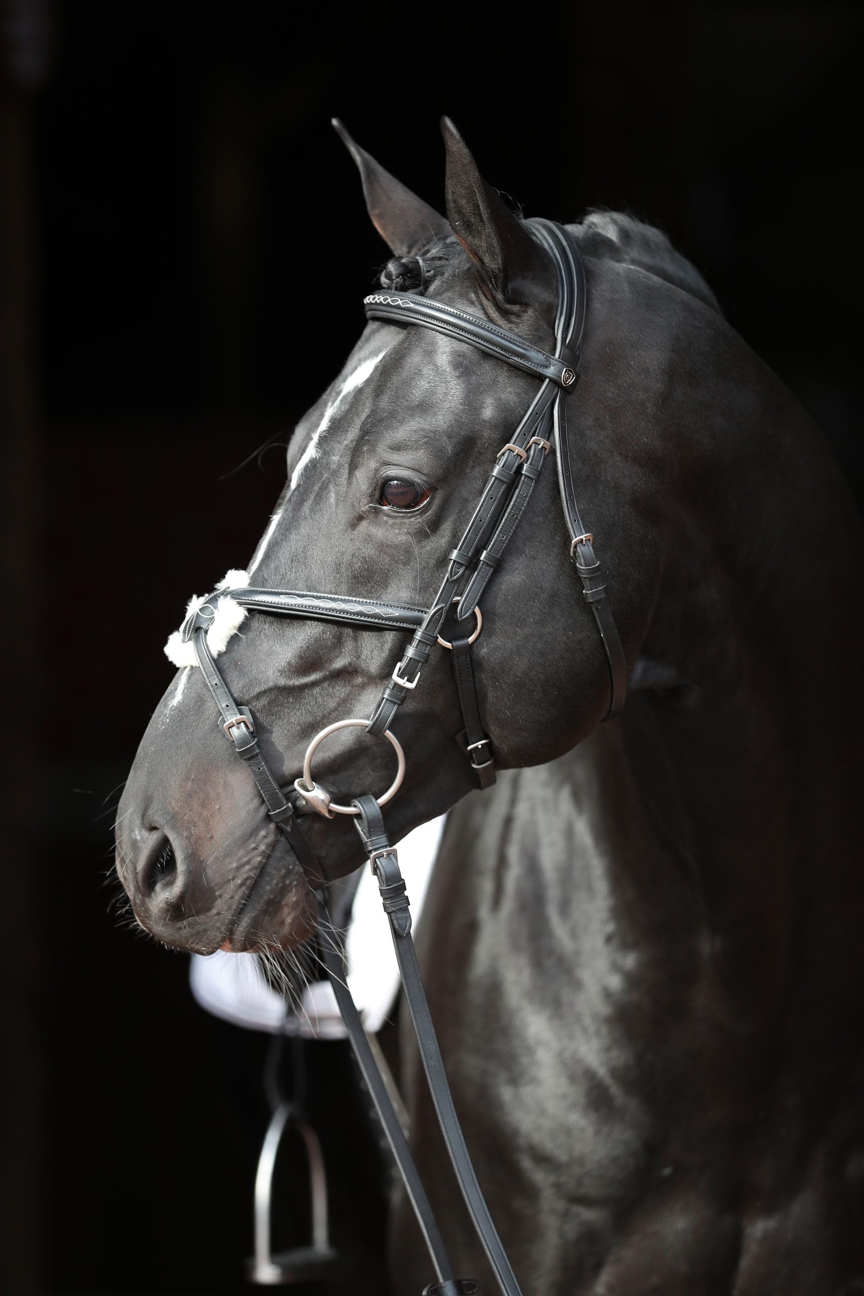 Briglia Cancun nero, pony