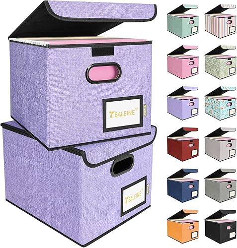 Miniatura 56 de BALEINE - Caja organizadora de archivos con tapa, organizador de carpetas plegable con riel de plástico, caja para carpetas colgantes para Gris