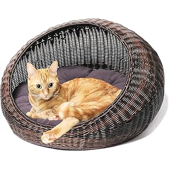 seagrass cat bed