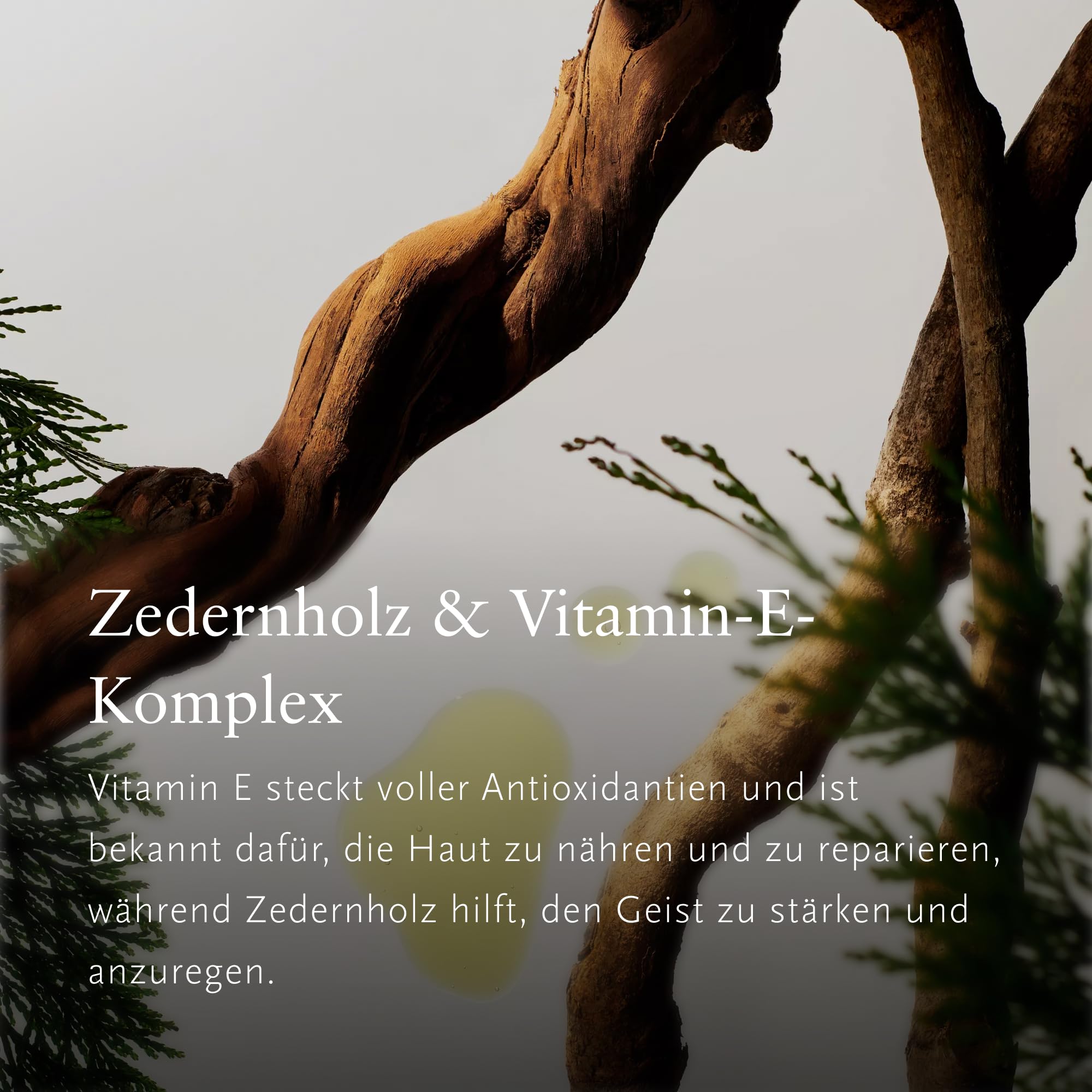 RITUALS Geschenkbox Homme Large Geschenkset für Männer Körperpflege Wellbeing