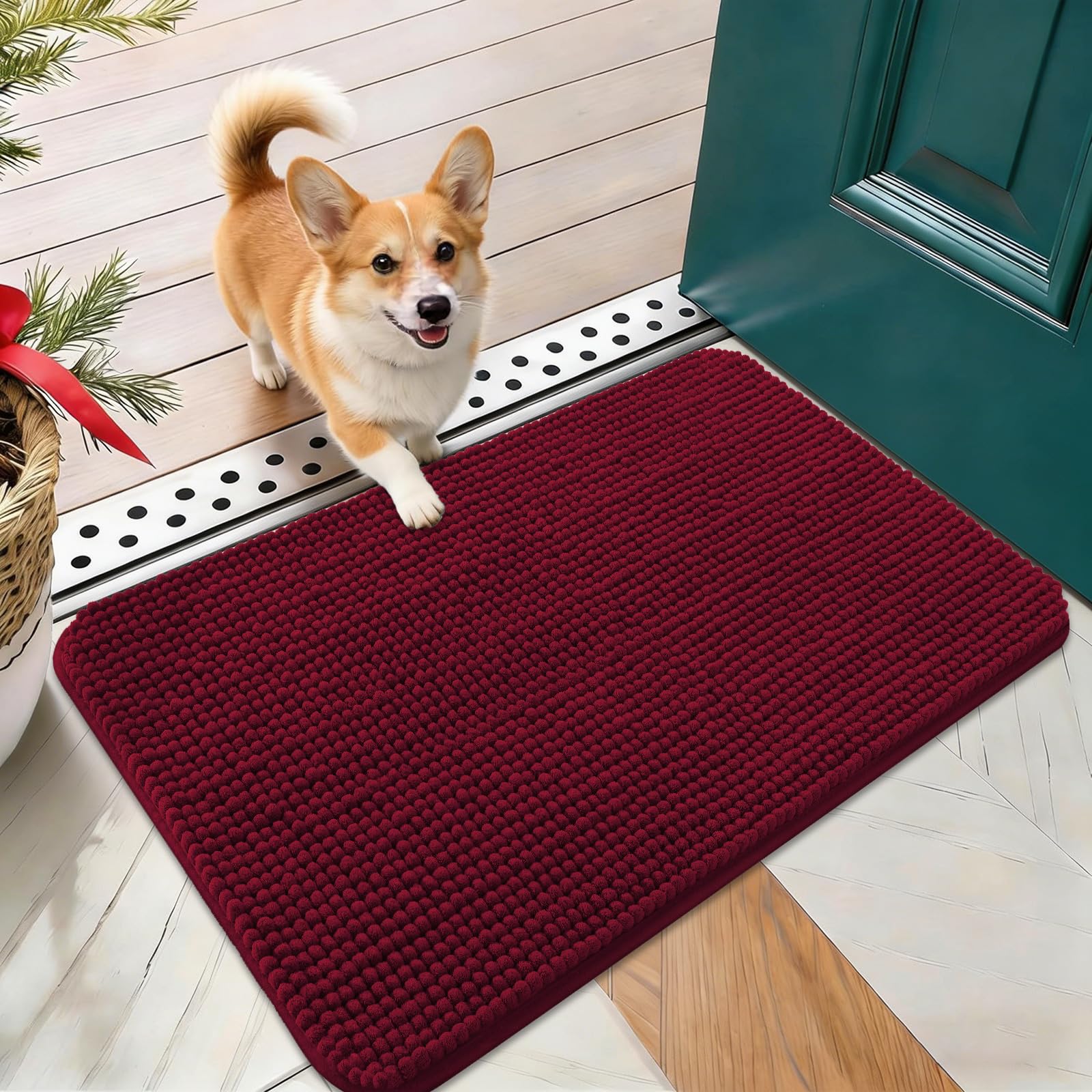 OLANLY Dog Door Mat for Muddy Paws 24x16, Absorbent Chenille Mud Doormat