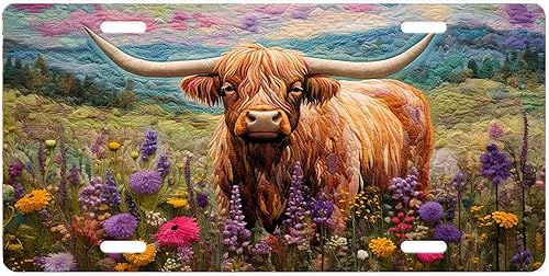 Miniatura 10 de Vanity - Placa de matrícula delantera decorativa - Bonita placa de automóvil fabricada en los Estados Unidos - Placa de metal de aluminio - Placa de