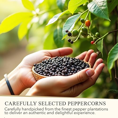 Miniatura 6 de PONTINO Molinillo de pimienta negra de 11 oz (311 g)  Condimento para cocinar  Para condimentar todos tus platos  Perfecto para carnes a la