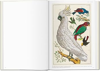 Amazon | Seba. Cabinet of Natural Curiosities | Muesch, Irmgard