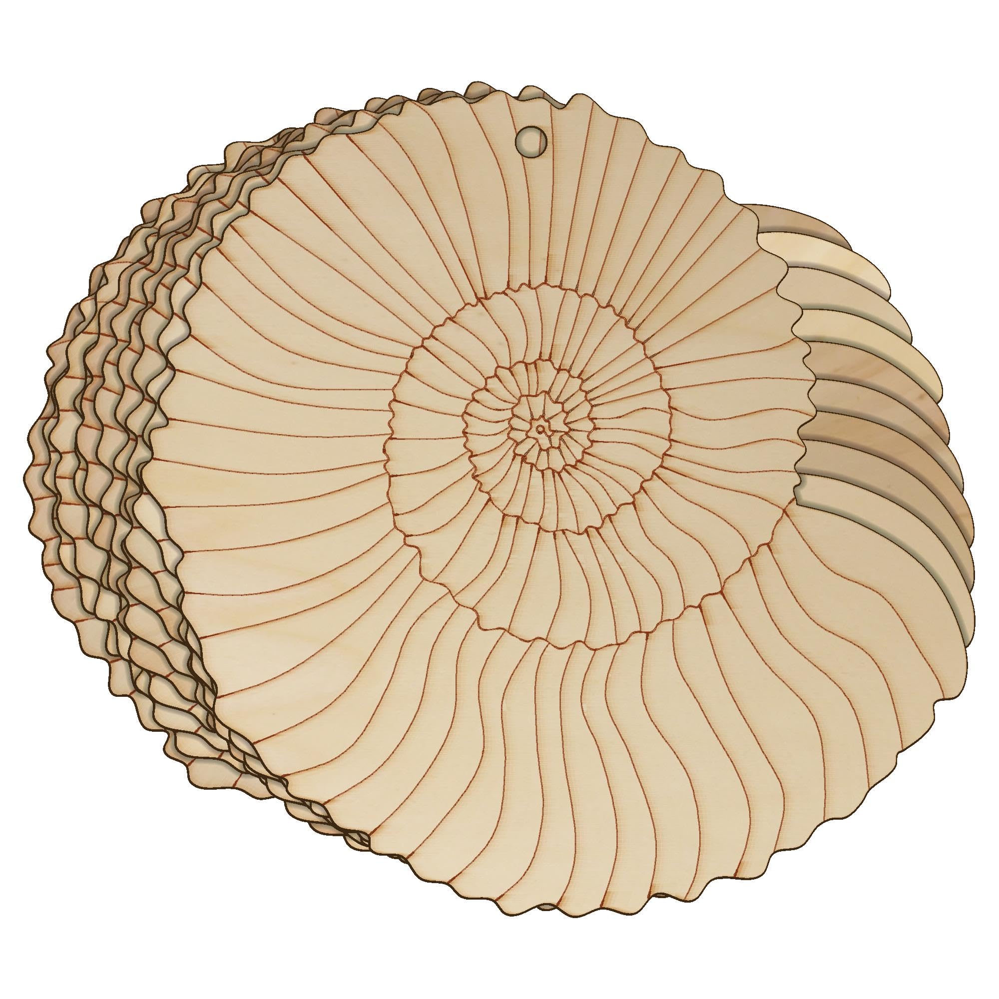 10x Wooden Ammonite Fossil Craft Shape 3mm Ply Dinosaur Prehistoric Shell(18 x 19.3cm,Hole Top Centre)