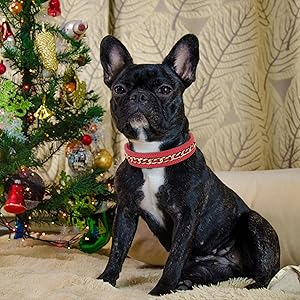 Didog Genuine Leather Dog Collars,Braided Dog Collar Leather Stylish & Durable Metal Chain Pet Collar for Medium Large Dogs,Red,M