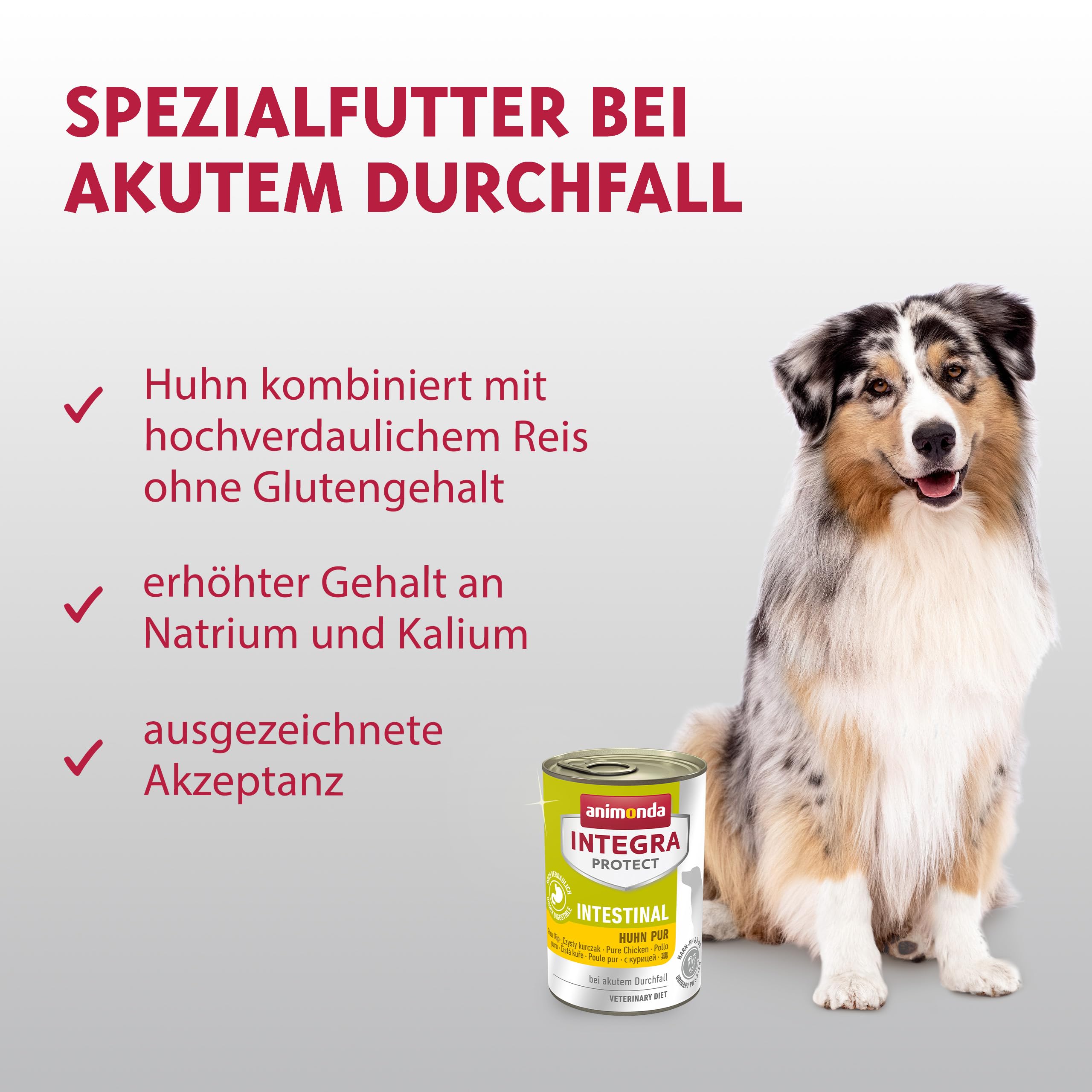 animonda INTEGRA PROTECT Intestinal Chicken Pure (6 x 400 g), Dog Diet Food  for Diarrhoea & Vomiting, Dog Food with Chicken and Rice, Easily ...