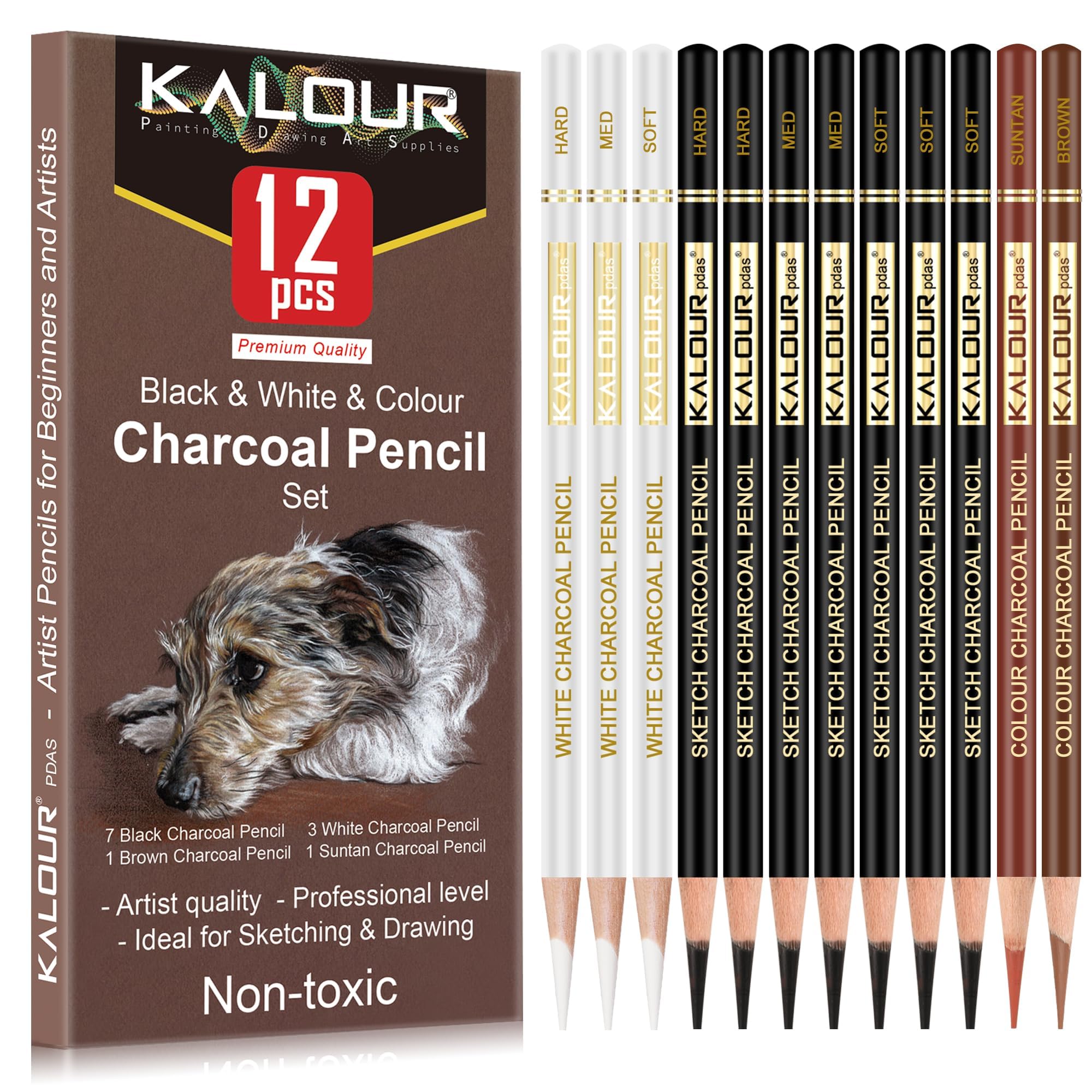 SYOSI Charcoal Pencils Drawing Set,12 Pcs Pastel Chalk Pencils for Sketching, Shading, Blending, Portrait, Black White Charcoal Pencils for Beginners & Artists
