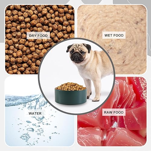 Miniatura 4 de Cuenco de cerámica para perros para comida y agua, cuenco comedero para mascotas para perros pequeños a medianos y gatos grandes, plato de