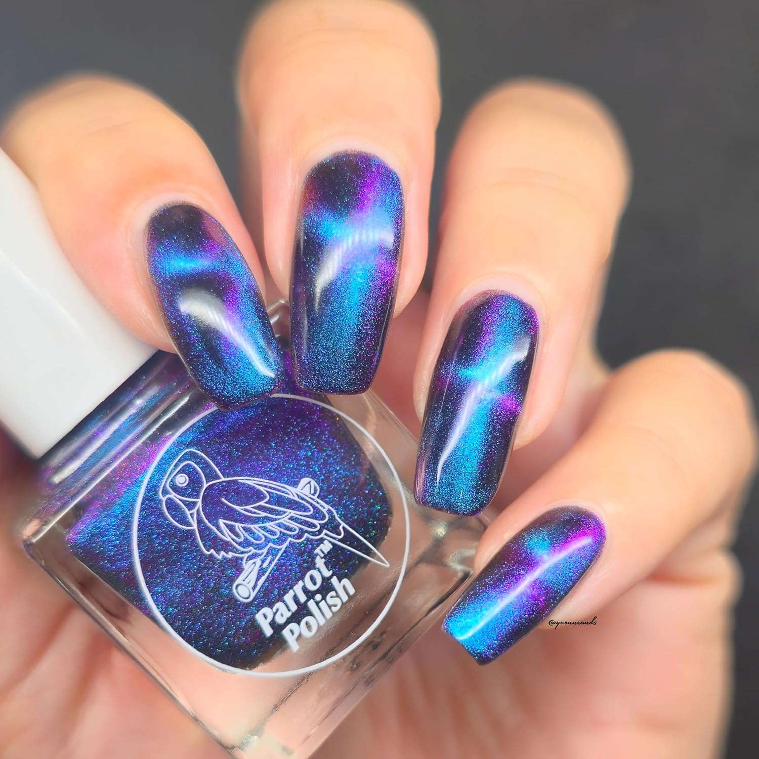 Parrot Polish Magnetic Cat Eye Nail Polish, Quick Dry Purple Black Glitter Nail Lacquer, Long Lasting Reflective Color, Chantilly Cat, 0.5 Fl Oz