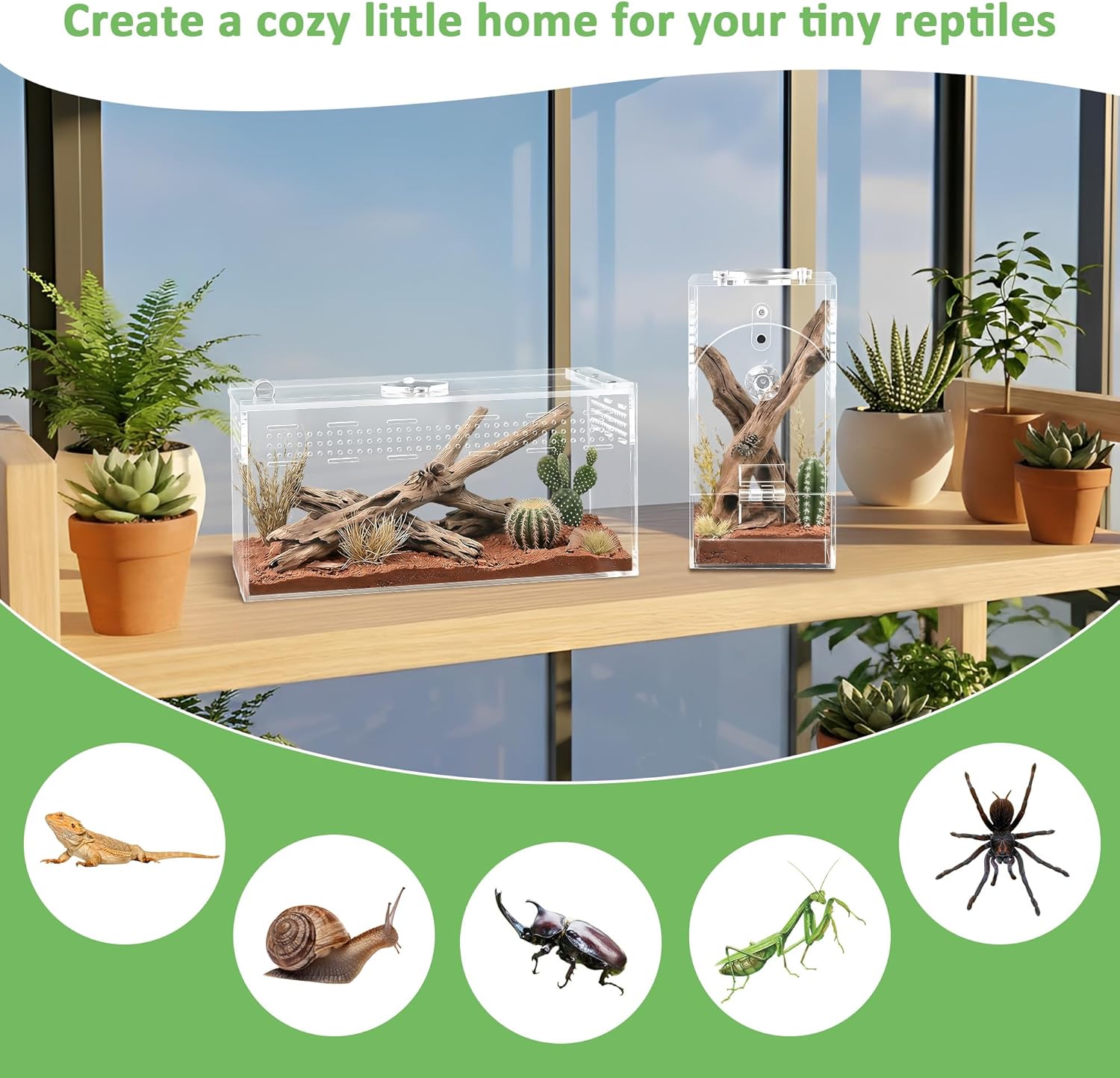 Acrylic Spider Enclosure 2 Pack, No Assembly Mixed Size Terrarium for Jumping Spider & Tarantula (M)