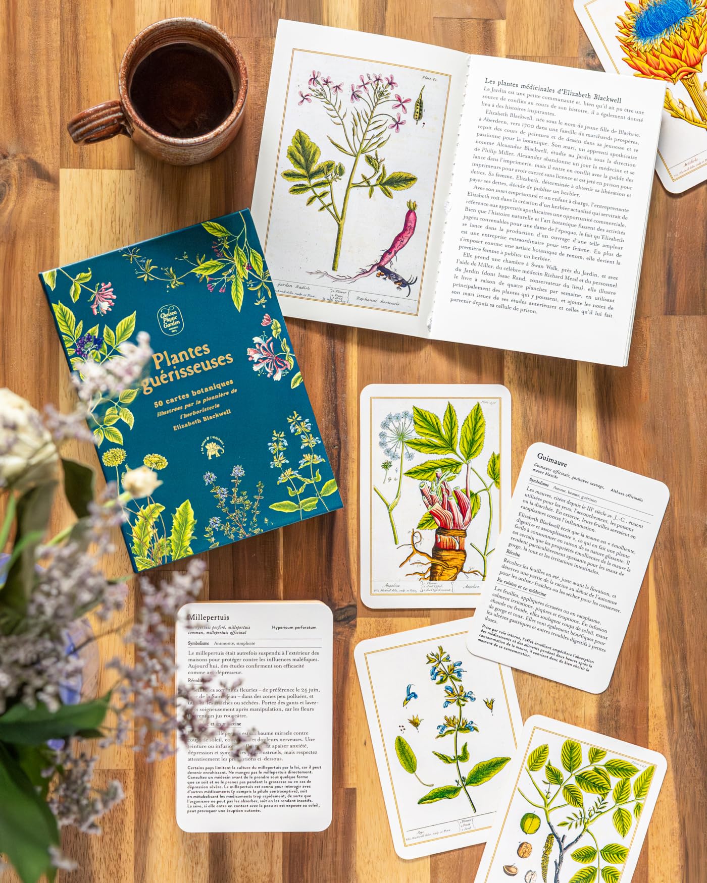Plantes guérisseuses: 50 cartes botaniques illustrées par la pionnière de l'herboristerie Elizabeth Blackwell