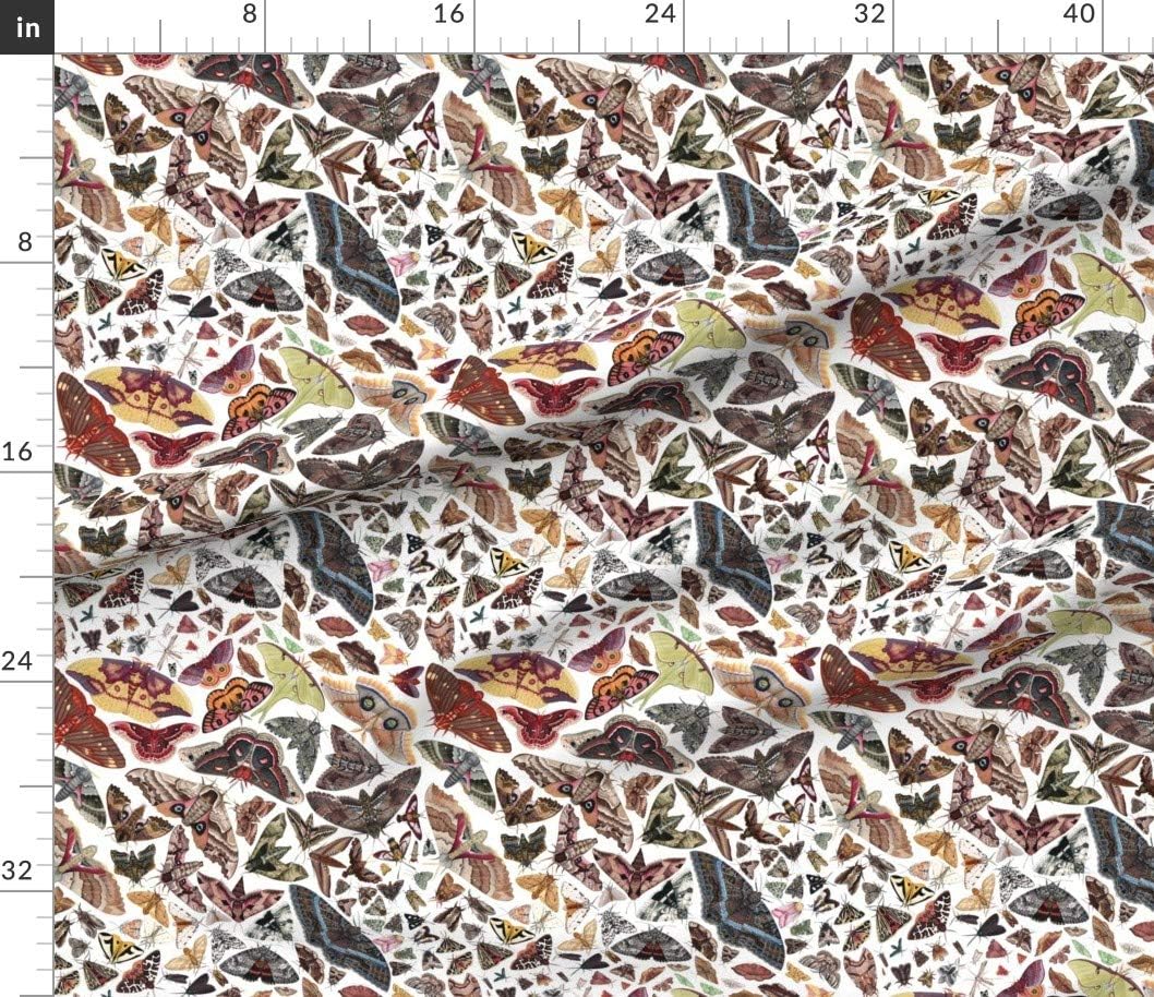 Spoonflower Fabric - Moths North America Moth Butterfly Bug Insect Science Entomology Printed on Petal Signature Cotton Fabric by The Yard - Sewing Quilting Apparel Crafts Decor