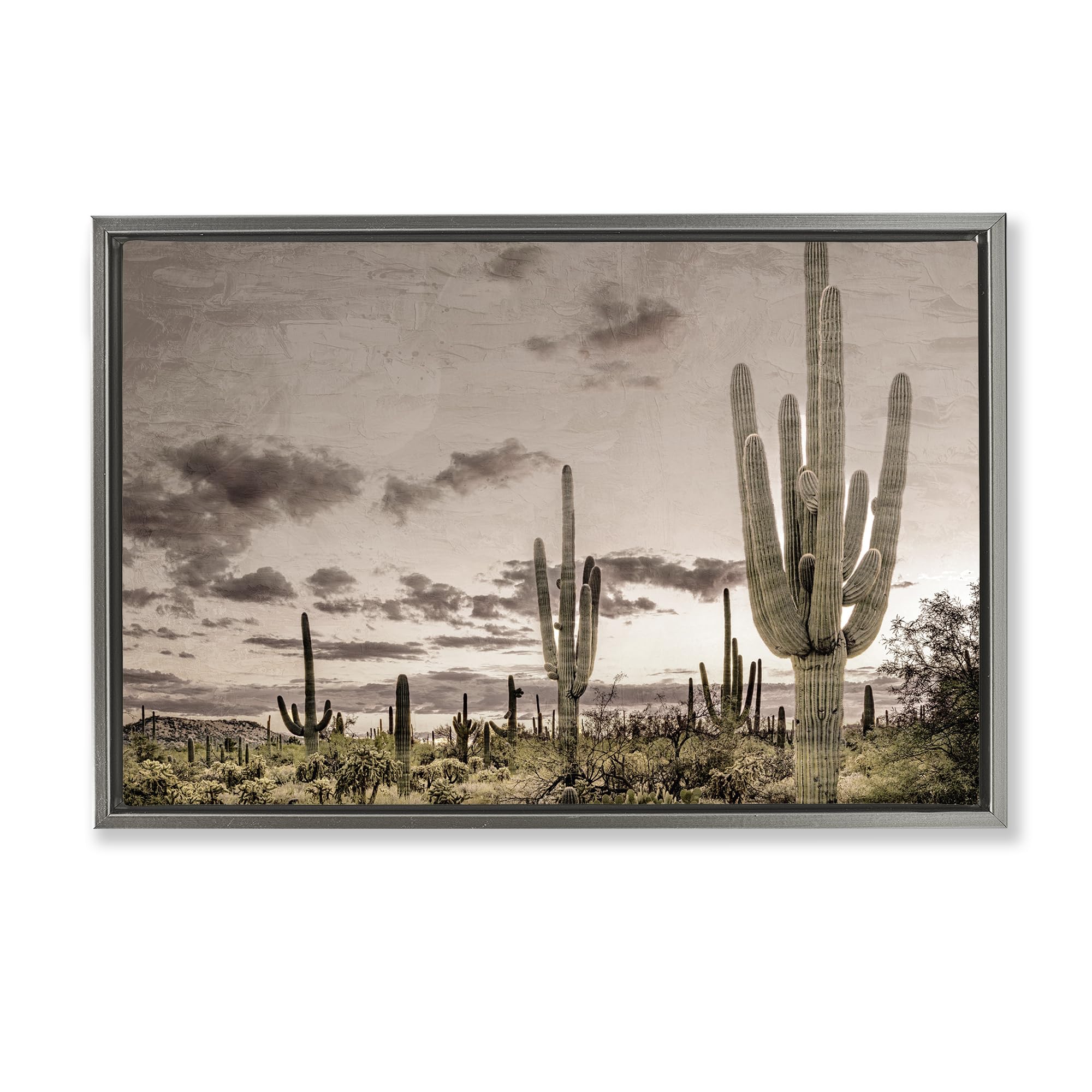 Stupell Industries Luster Gray (Matte) Desert Sky Cactus Wilderness, 16 X 24 Inch Canvas In Floater Frame