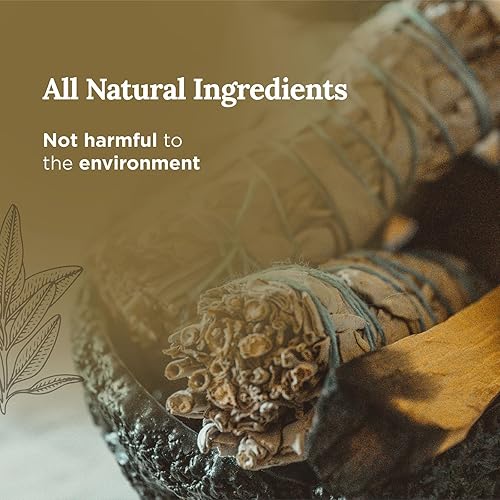 Miniatura 9 de Magnificent 101 Juego de 3 velas de salvia pura y lavanda de larga duración, 3.5 onzas cada una, 42 horas de tiempo de combustión, completamente