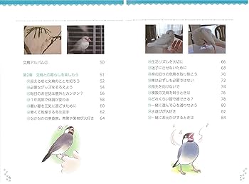もっと知りたい文鳥のこと。 HAPPYブンチョウ生活のすすめ (コツ